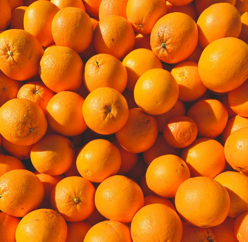 Illustration de l'importance du fer végétal et de la vitamine C dans l'alimentation végétale