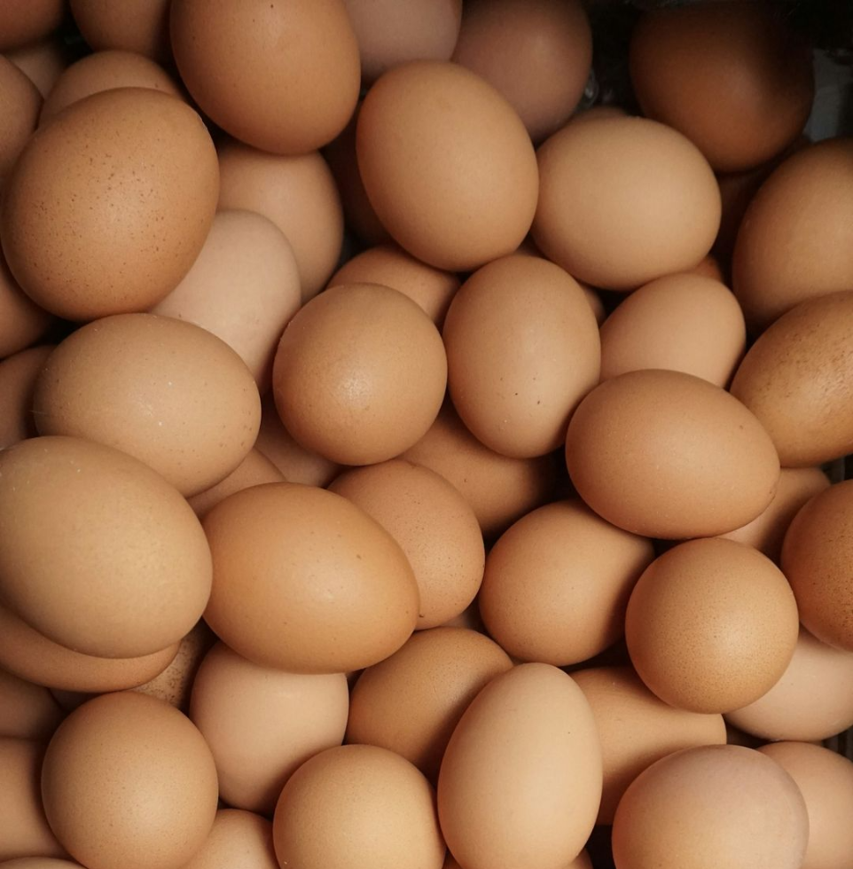 Illustration de l'importance de la vitamine B12 dans le régime végétarien et végétalien