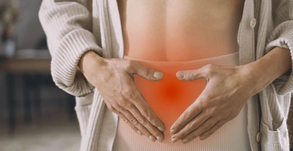 Explication du lien en troubles digestifs et hypothyroïdie, consultations diététiques Belgique